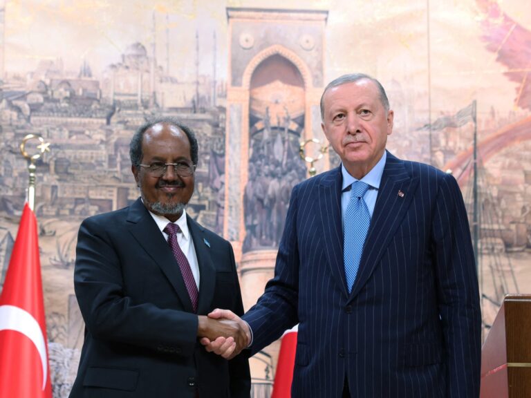Erdogan de Turquie qualifie d' »inacceptable » la reconnaissance du Somaliland par Israël