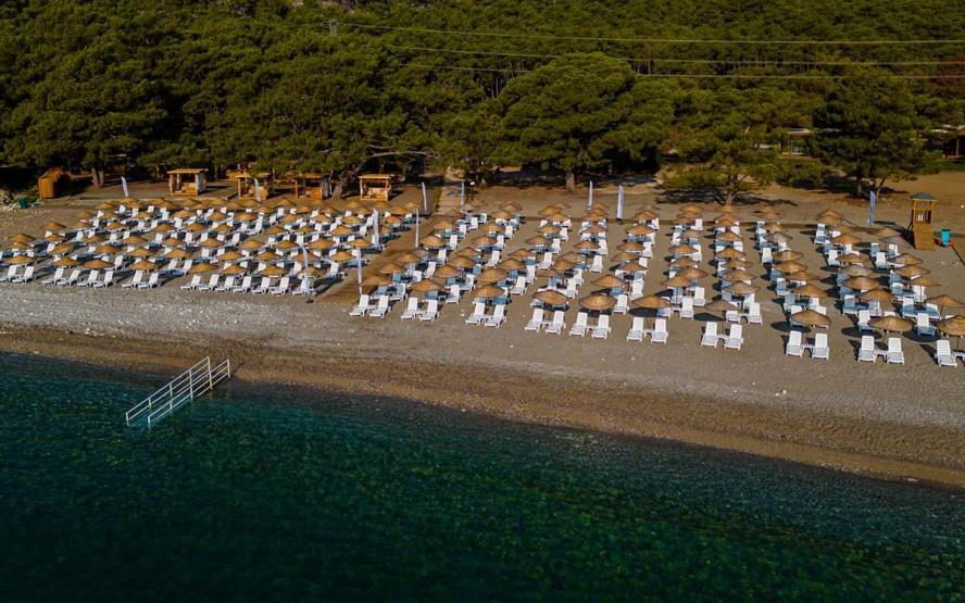 Intérêt record pour les plages publiques : 3 millions 252 mille 769 personnes ont accédé gratuitement à la mer