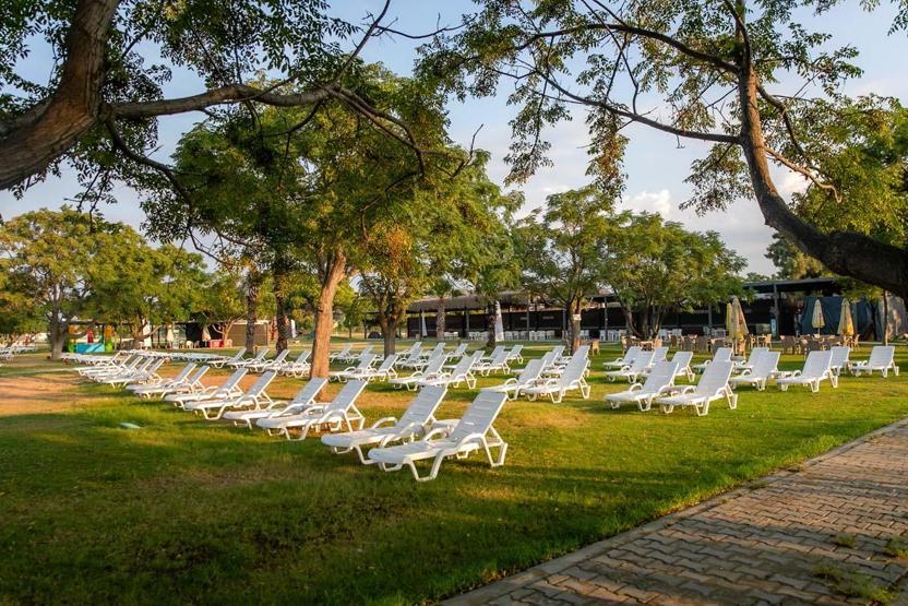 Intérêt record pour les plages publiques : 3 millions 252 mille 769 personnes ont accédé gratuitement à la mer