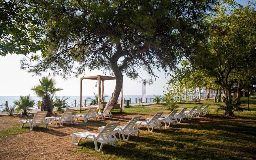 Intérêt record pour les plages publiques : 3 millions 252 mille 769 personnes ont accédé gratuitement à la mer