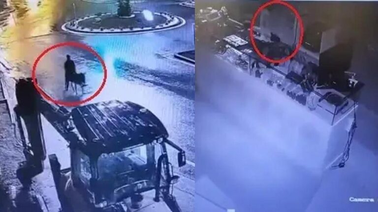 Il a volé avec un chariot élévateur et s'est enfui avec un âne ! Sa punition a été annoncée