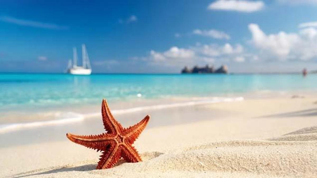 Annonce de la liste des « 50 plus belles plages du monde » 2026 ! Türkiye est également sur la liste avec ses eaux turquoise et sa beauté naturelle.