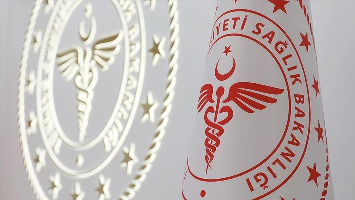 DERNIÈRES NOUVELLES... Déclaration du ministère de la Santé sur l'hantavirus : il n'y a aucun cas en Turquie