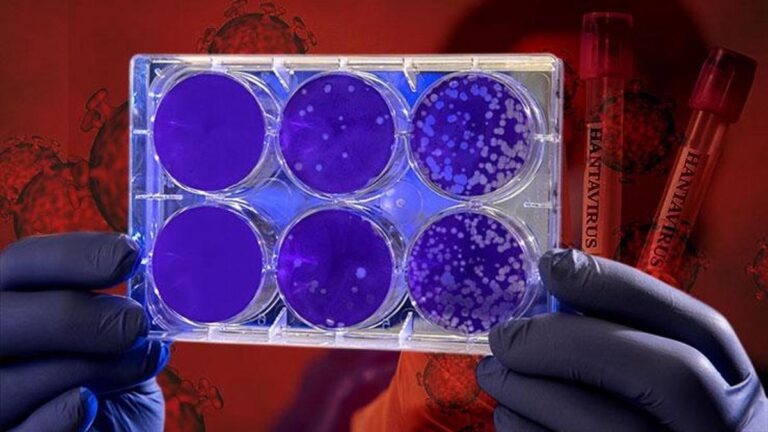 EXCLUSIF | Retour au masque ? Nouvelle préoccupation pandémique : Hantavirus ! Des mots clairs de l'expert