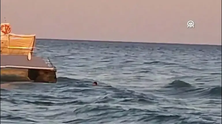 Ils se sont retrouvés bloqués au milieu de la mer. Ces moments ont été filmés