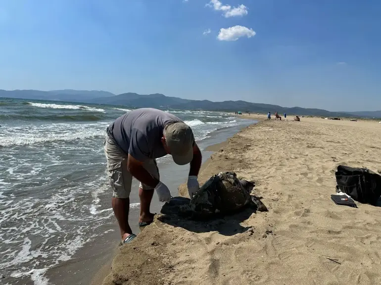 Une tortue de mer a été sauvagement assassinée en attachant un pavé à sa nageoire