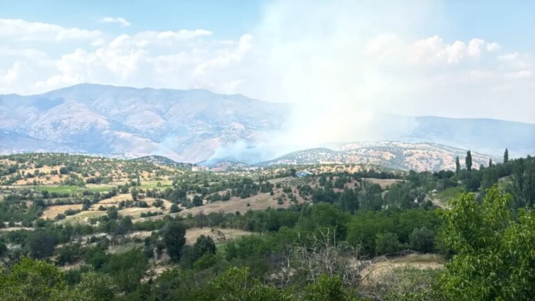 Feu de forêt à Malatya !