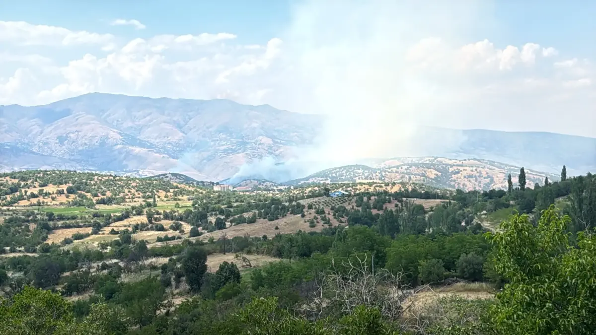 Feu de forêt à Malatya !