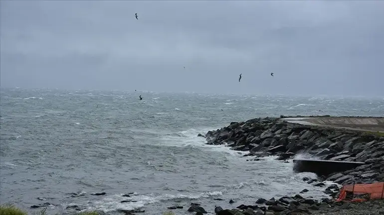 Interdiction de nager dans 4 provinces de la région de la mer Noire