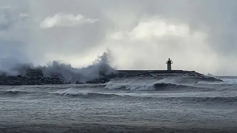 Interdiction de nager dans 4 provinces de la mer Noire