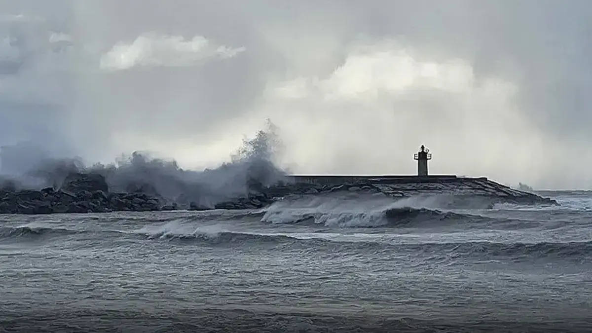 Interdiction de nager dans 4 provinces de la mer Noire