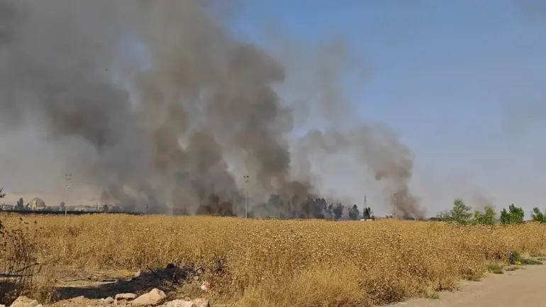Les flammes ont traversé la frontière : le feu de chaume qui s'est propagé de la Syrie à la Turquie a été éteint
