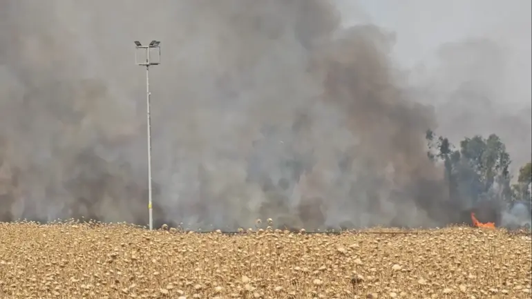 Les flammes ont traversé la frontière : le feu de chaume qui s'est propagé de la Syrie à la Turquie a été éteint