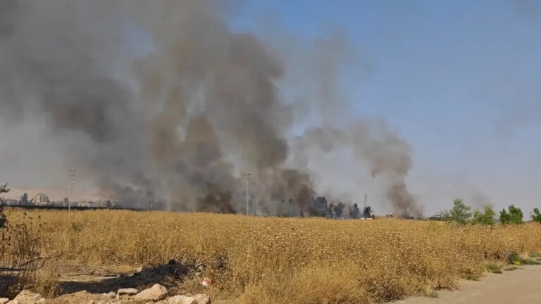 Les flammes ont traversé la frontière : le feu de chaume qui s'est propagé de la Syrie à la Turquie a été éteint