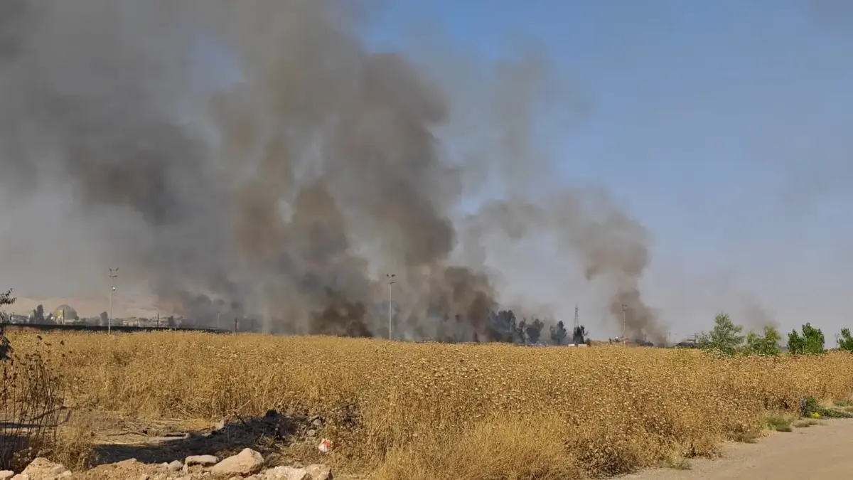 Les flammes ont traversé la frontière : le feu de chaume qui s'est propagé de la Syrie à la Turquie a été éteint