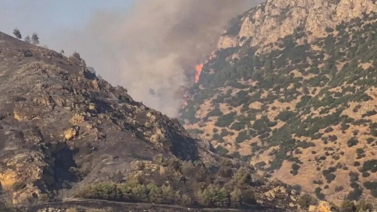 Feu de forêt à Pamukkale ! L'intervention aérienne et terrestre a commencé
