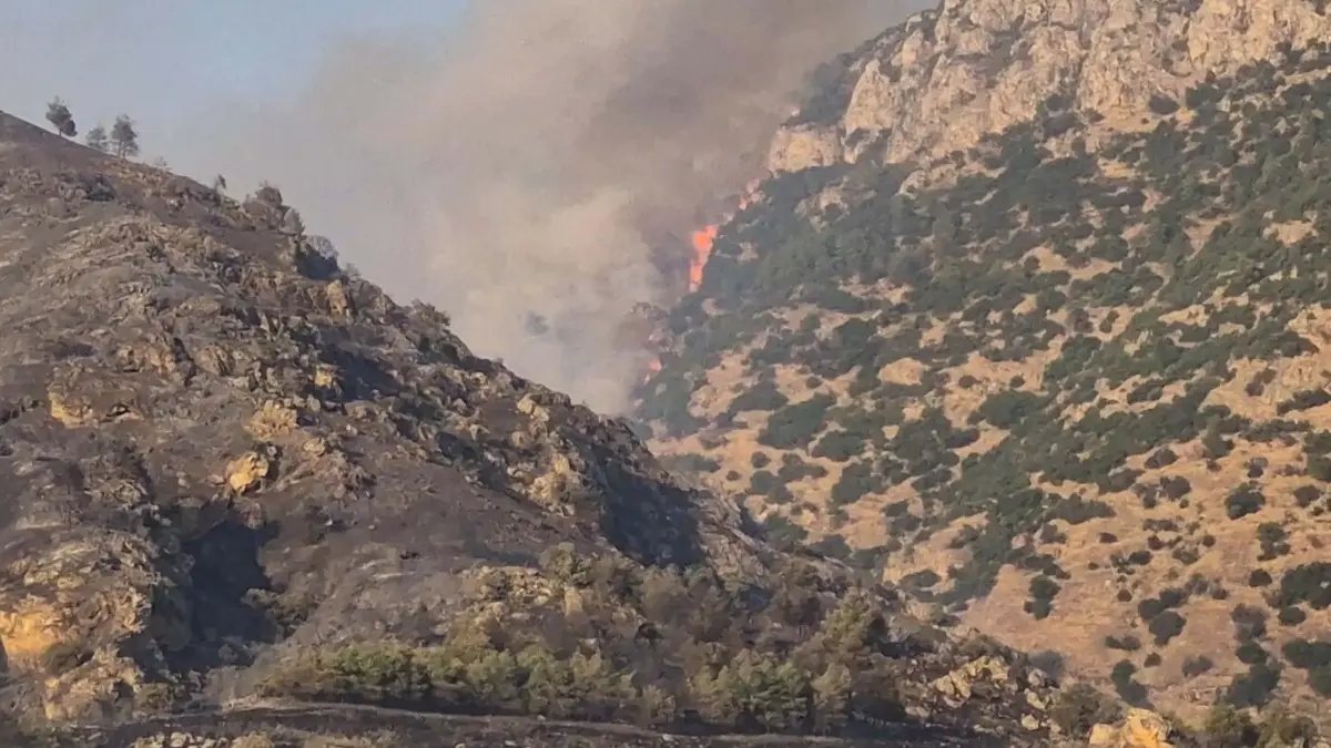 Feu de forêt à Pamukkale ! L'intervention aérienne et terrestre a commencé