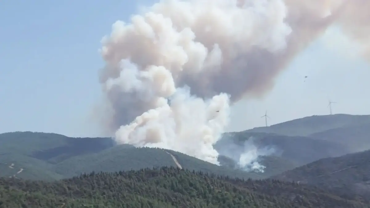CNN TÜRK dans la région : L'incendie a repris à Susurluk