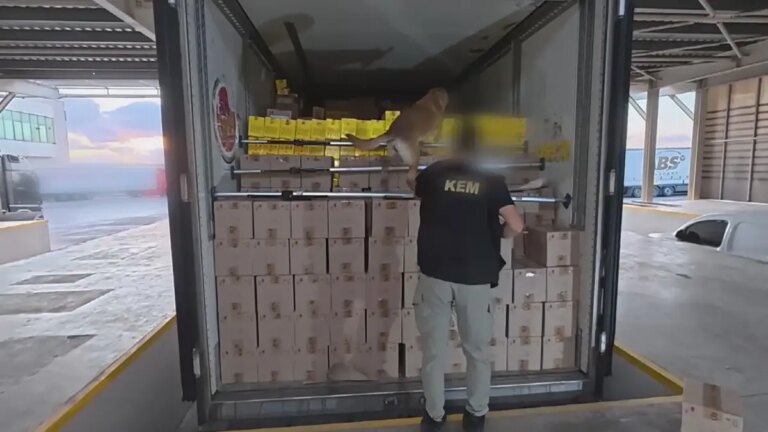 Opération de stupéfiants à Silivri : 376 kilos de drogue saisis