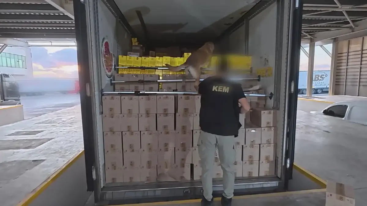 Opération de stupéfiants à Silivri : 376 kilos de drogue saisis