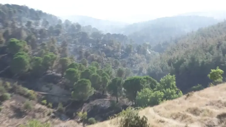 CNN TÜRK dans la région : VOICI LES DÉGÂTS D'INCENDIE EN SILENCE
