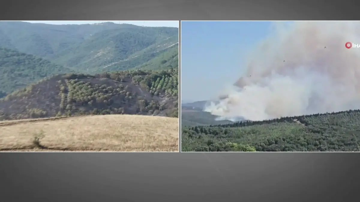CNN TÜRK dans la région : VOICI LES DÉGÂTS D'INCENDIE À SUSURLUK