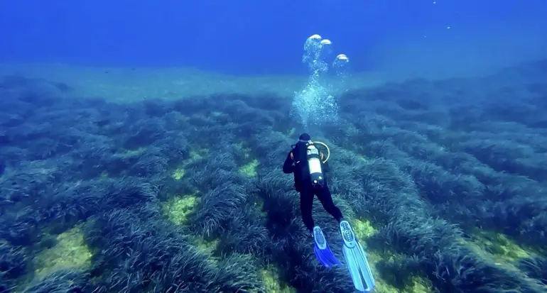 Grande protection pour les poumons de la mer Égée