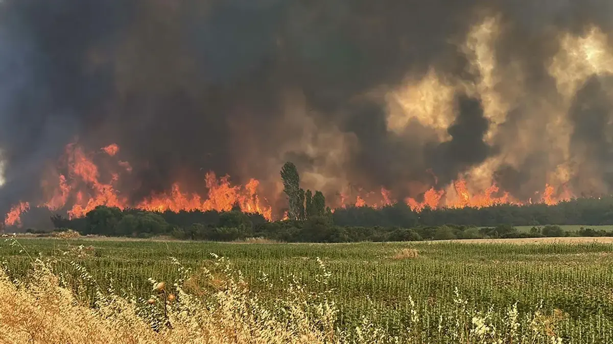 Alarme incendie de forêt du gouverneur de Çanakkale ! Interdit pendant 3 jours
