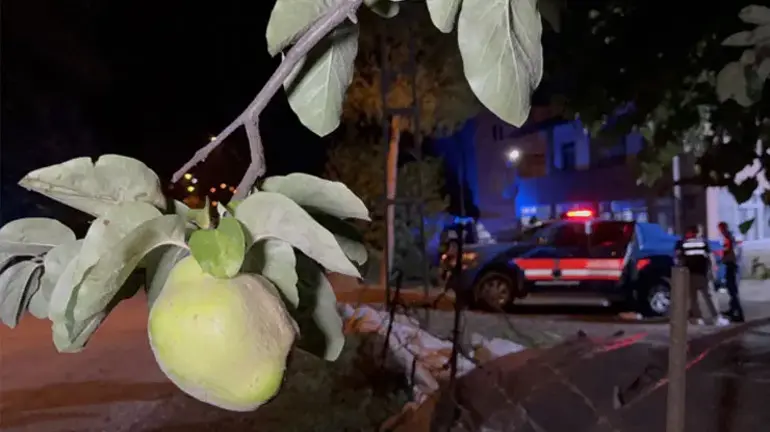 Une branche de coing a apporté la mort : il est venu de France et a abattu son oncle